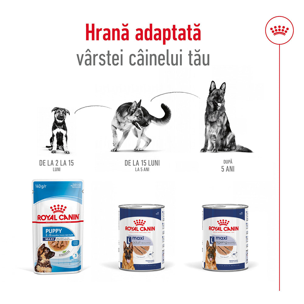 Royal Canin Maxi Adult hrana umeda caine (pate), 10 x 140 g