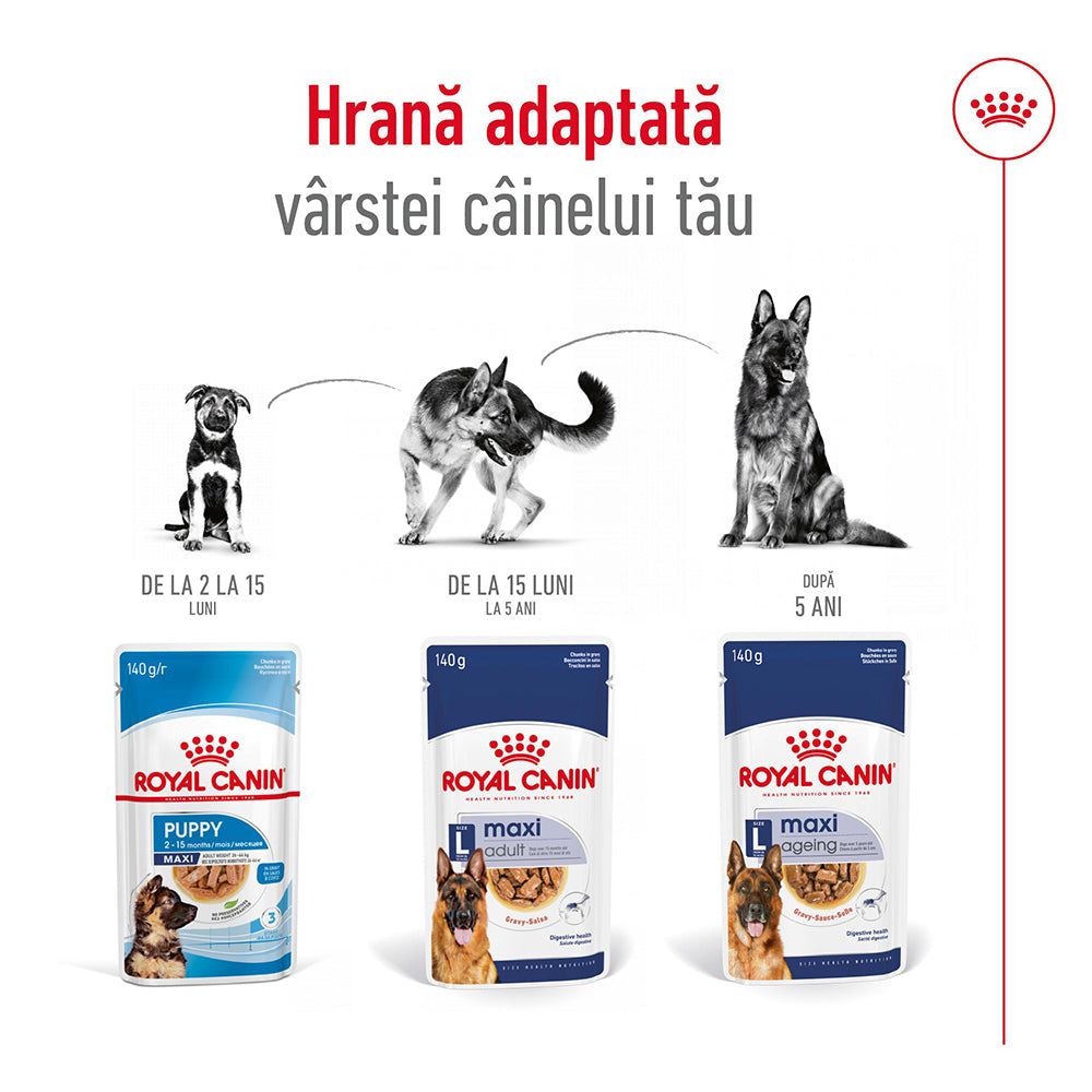 Royal Canin Maxi Adult hrana umeda caine (in sos)