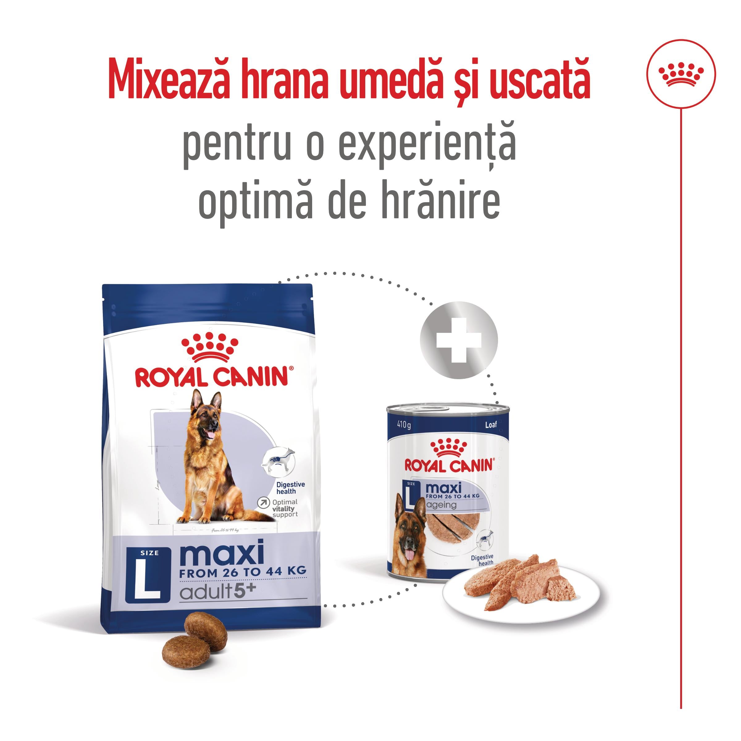 Royal Canin Maxi Adult 5+ hrana uscata caine