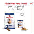 Royal Canin Maxi Ageing 8+ hrana uscata caine senior, 15 kg