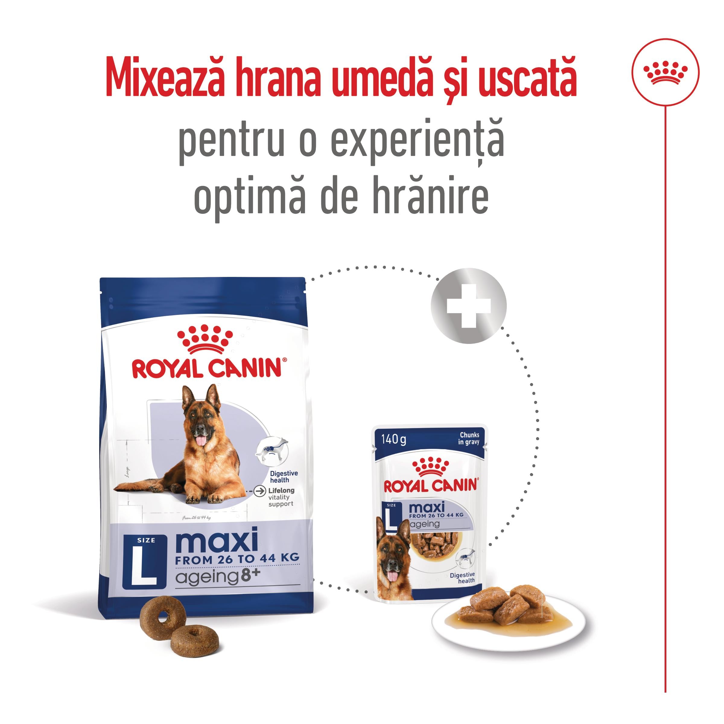 Royal Canin Maxi Ageing 8+ hrana uscata caine senior, 15 kg