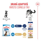 Royal Canin Maxi Puppy hrana uscata caine junior