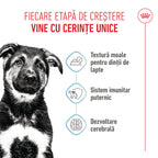 Royal Canin Maxi Puppy hrana umeda caine junior (in sos)
