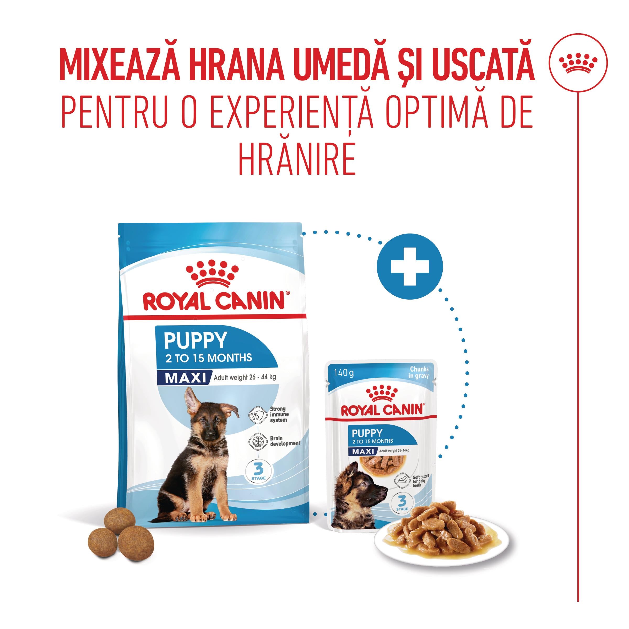 Royal Canin Maxi Puppy hrana umeda caine junior (in sos)