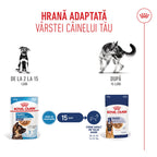 Royal Canin Maxi Puppy hrana umeda caine junior (in sos)