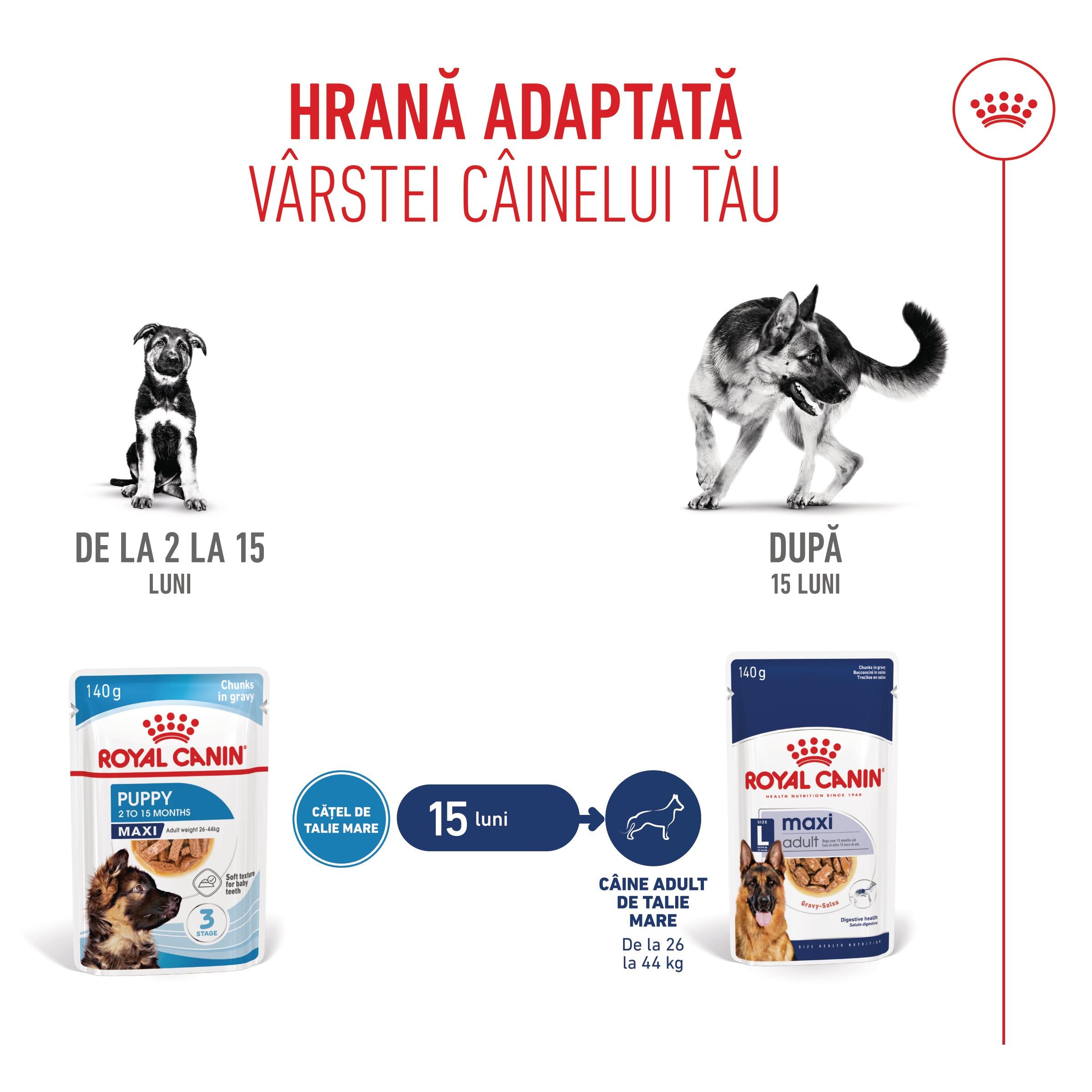 Royal Canin Maxi Puppy hrana umeda caine junior (in sos)