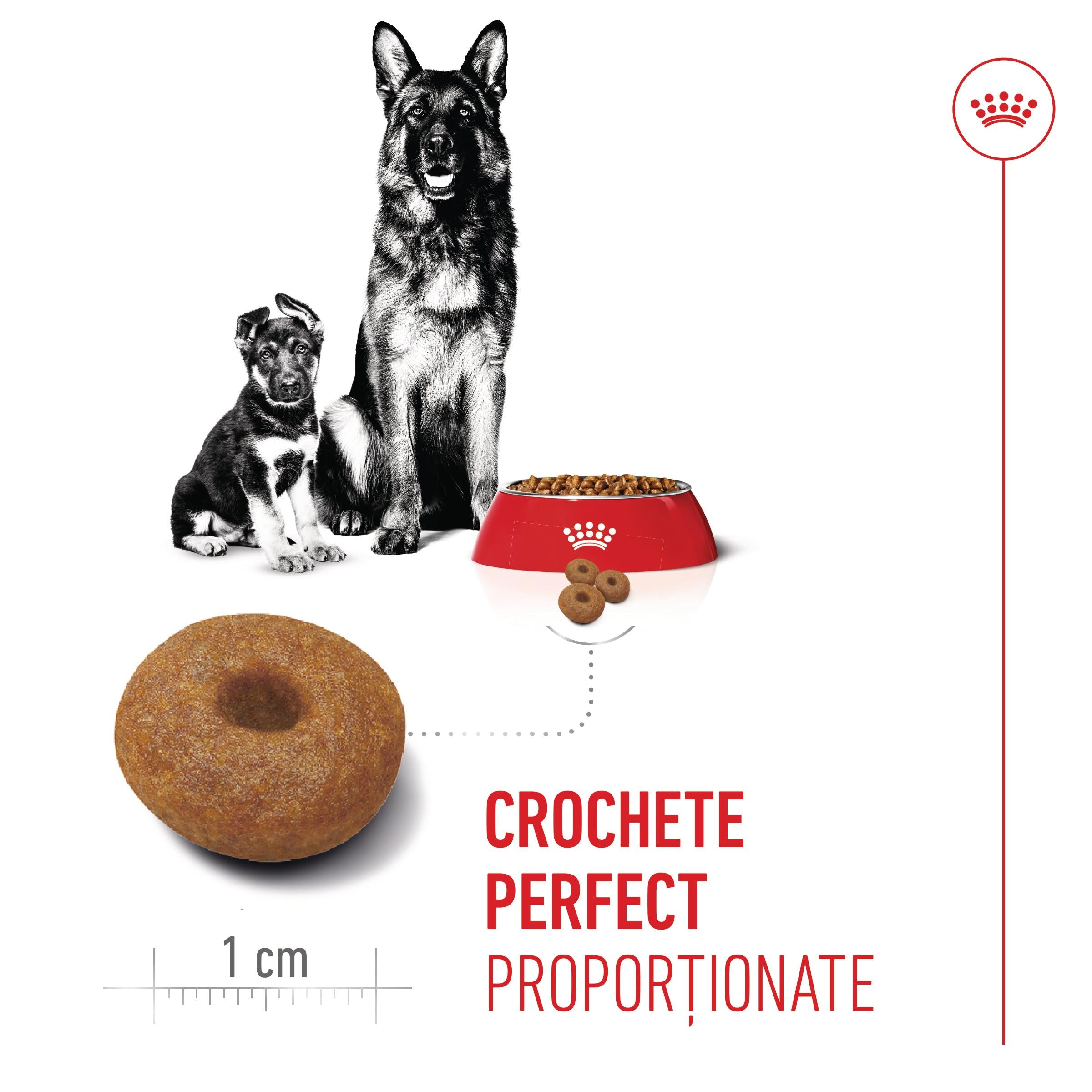 Royal Canin Maxi Starter Mother & Babydog, mama si puiul, hrana uscata caine