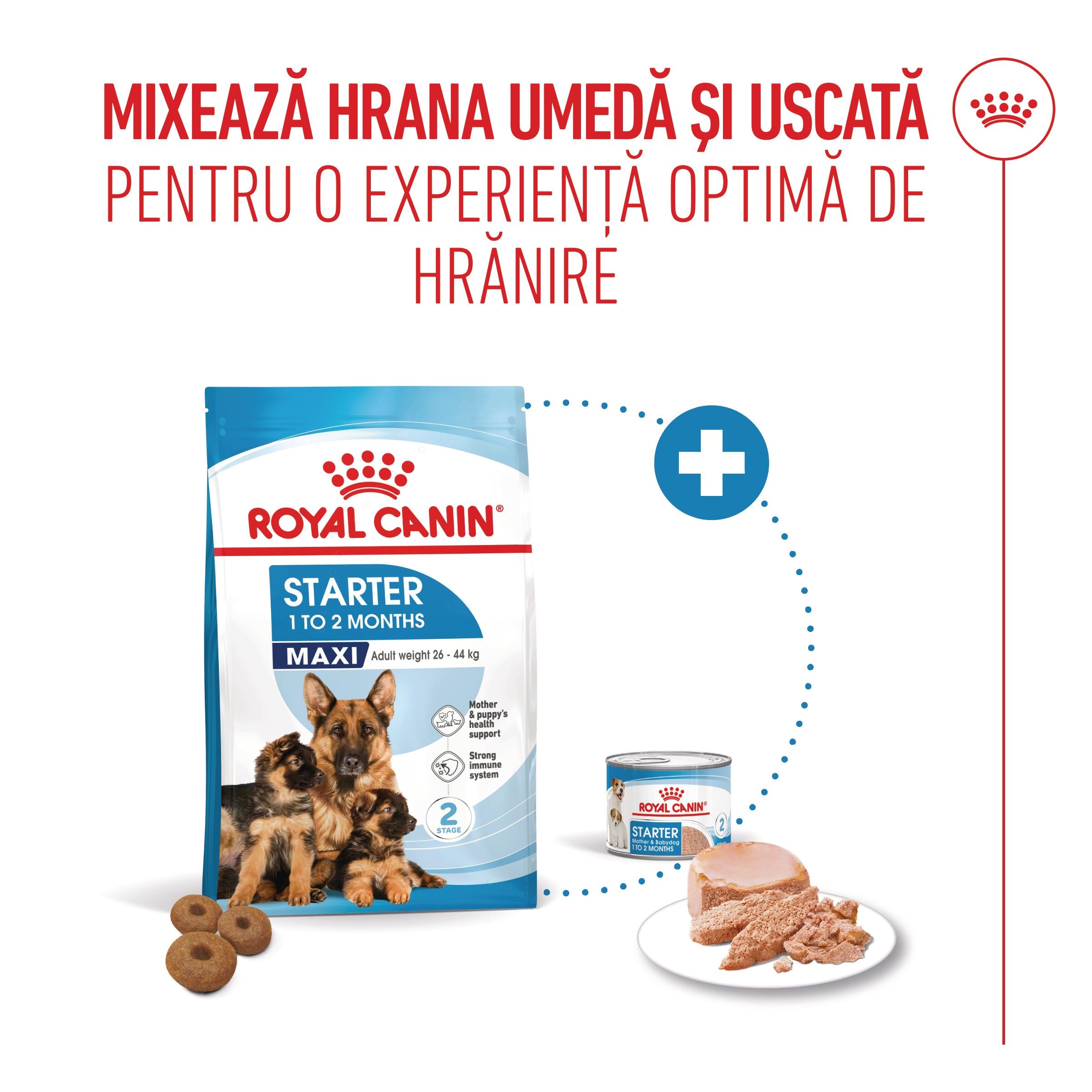 Royal Canin Maxi Starter Mother & Babydog, mama si puiul, hrana uscata caine