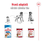 Royal Canin Medium Adult hrana umeda caine (pate), 10 x 140 g