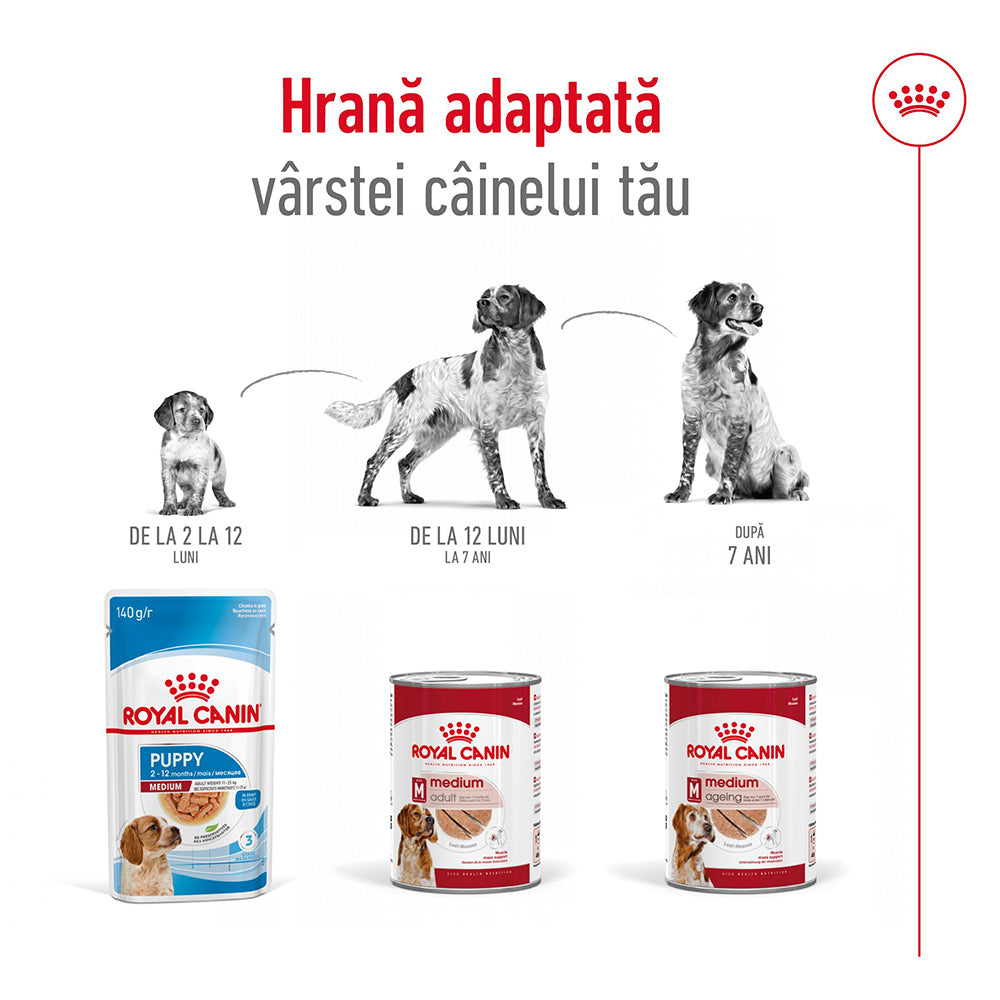 Royal Canin Medium Adult hrana umeda caine (pate), 10 x 140 g