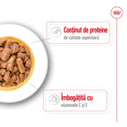 Royal Canin Medium Adult hrana umeda caine (in sos), 140 g