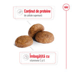 Royal Canin Medium Adult 7+  hrana uscata caine