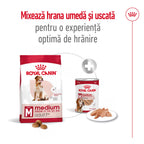 Royal Canin Medium Adult 7+  hrana uscata caine