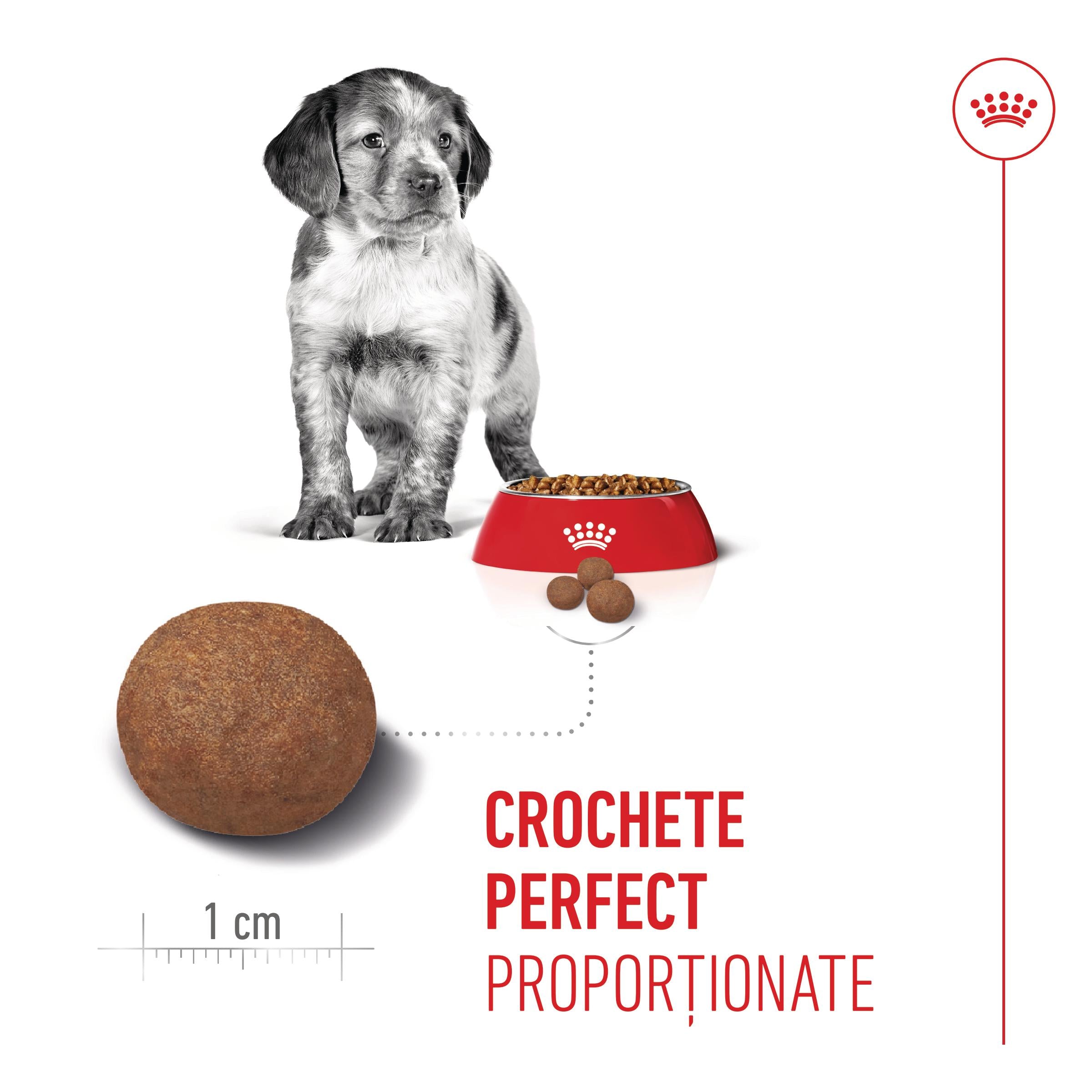 Royal Canin Medium Puppy hrana uscata caine junior