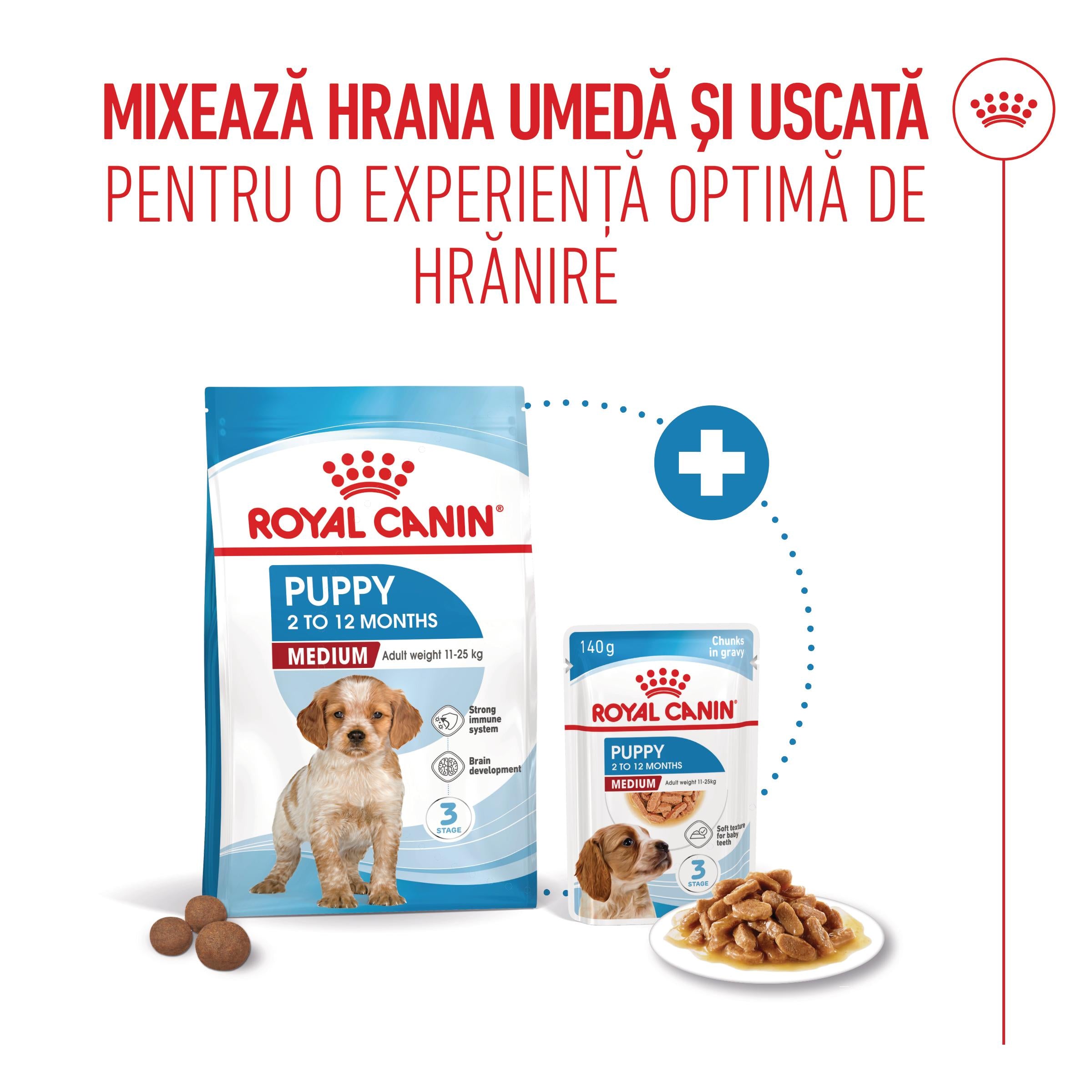 Royal Canin Medium Puppy hrana umeda caine junior (in sos)
