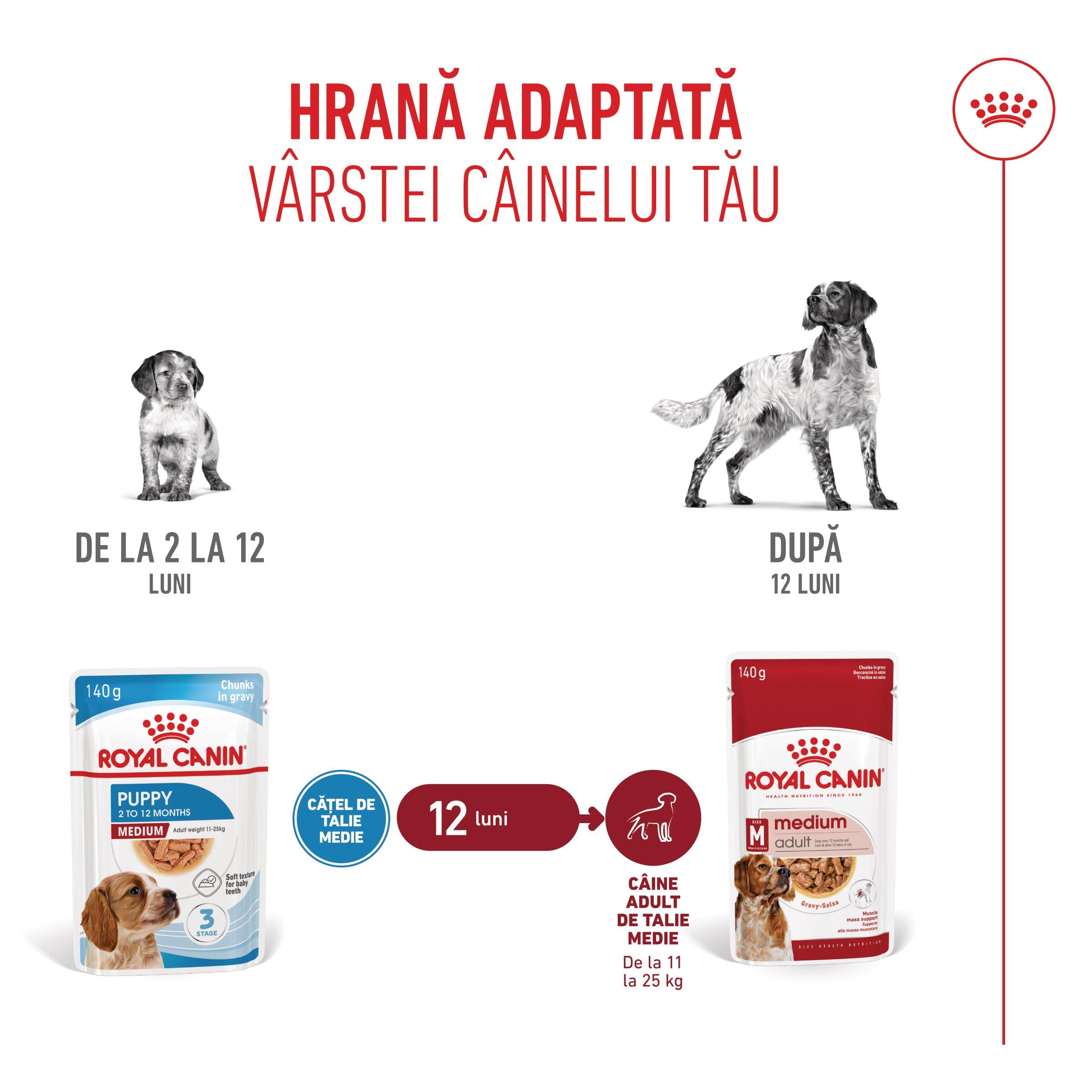 Royal Canin Medium Puppy hrana umeda caine junior (in sos)