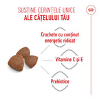 Royal Canin Medium Starter Mother & Babydog, mama si puiul, hrana uscata caine