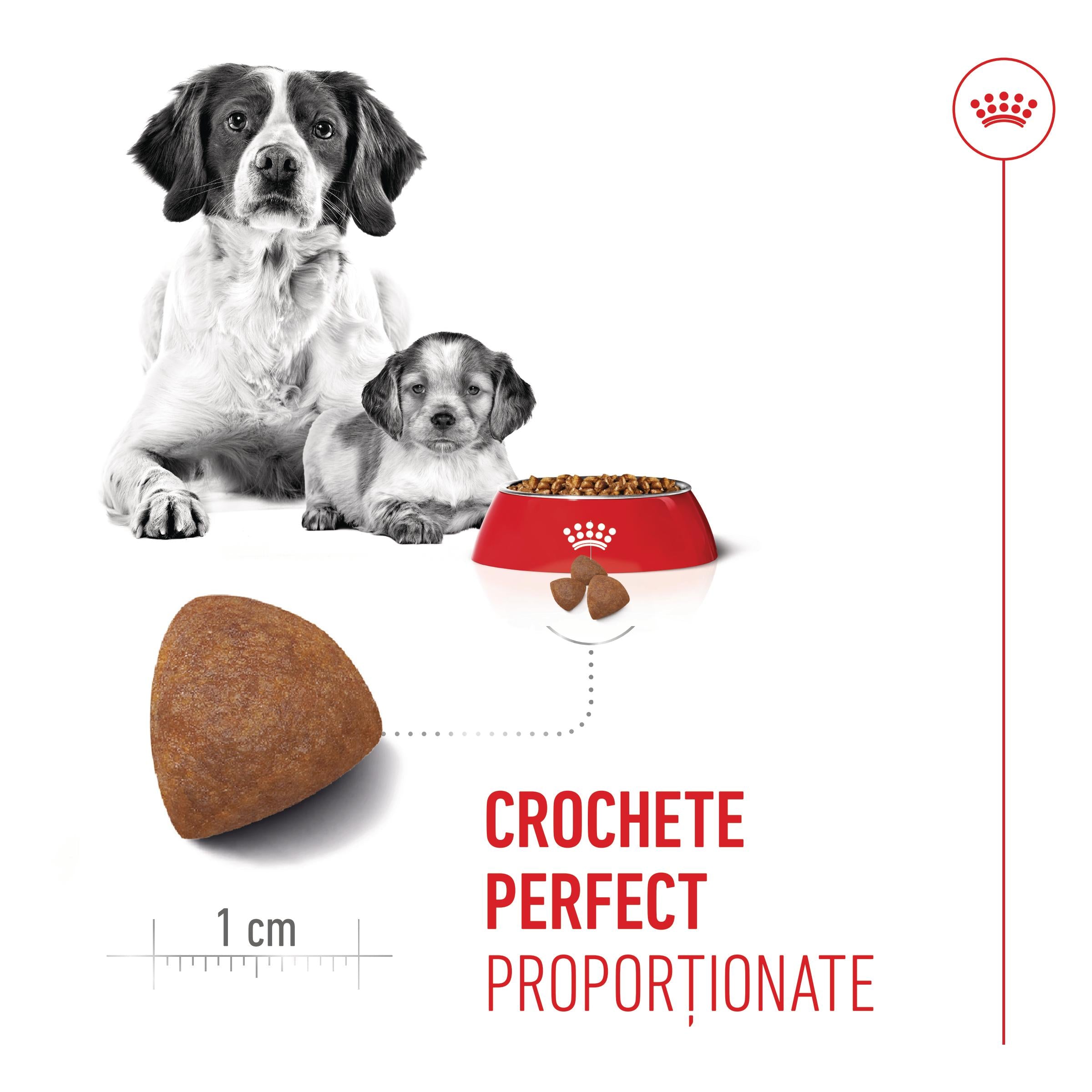 Royal Canin Medium Starter Mother & Babydog, mama si puiul, hrana uscata caine