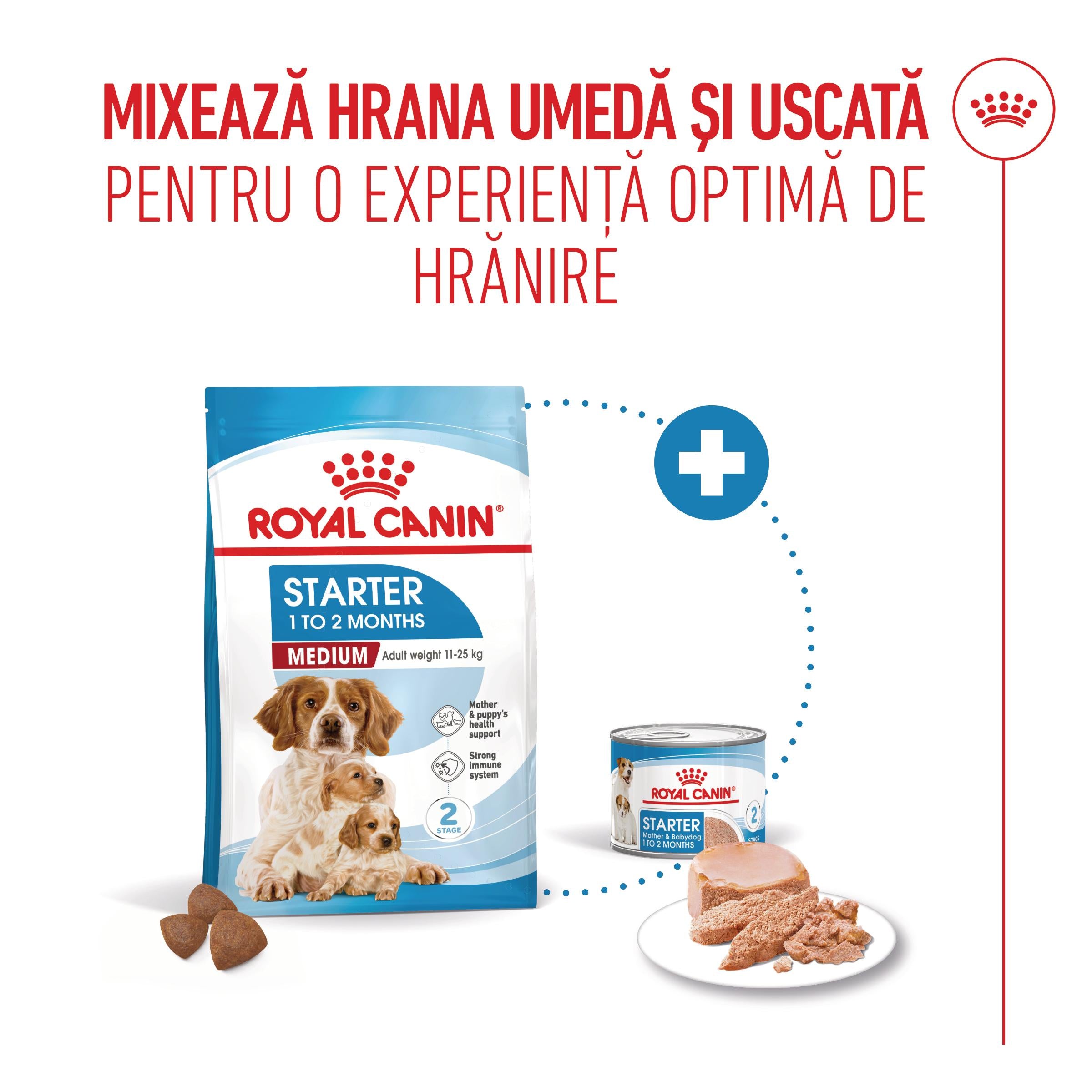 Royal Canin Medium Starter Mother & Babydog, mama si puiul, hrana uscata caine
