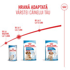 Royal Canin Medium Starter Mother & Babydog, mama si puiul, hrana uscata caine