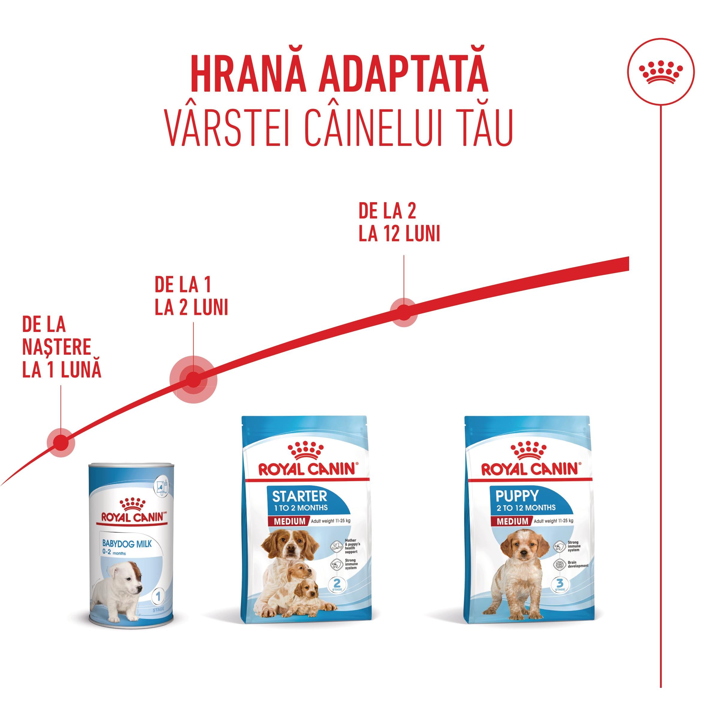 Royal Canin Medium Starter Mother & Babydog, mama si puiul, hrana uscata caine