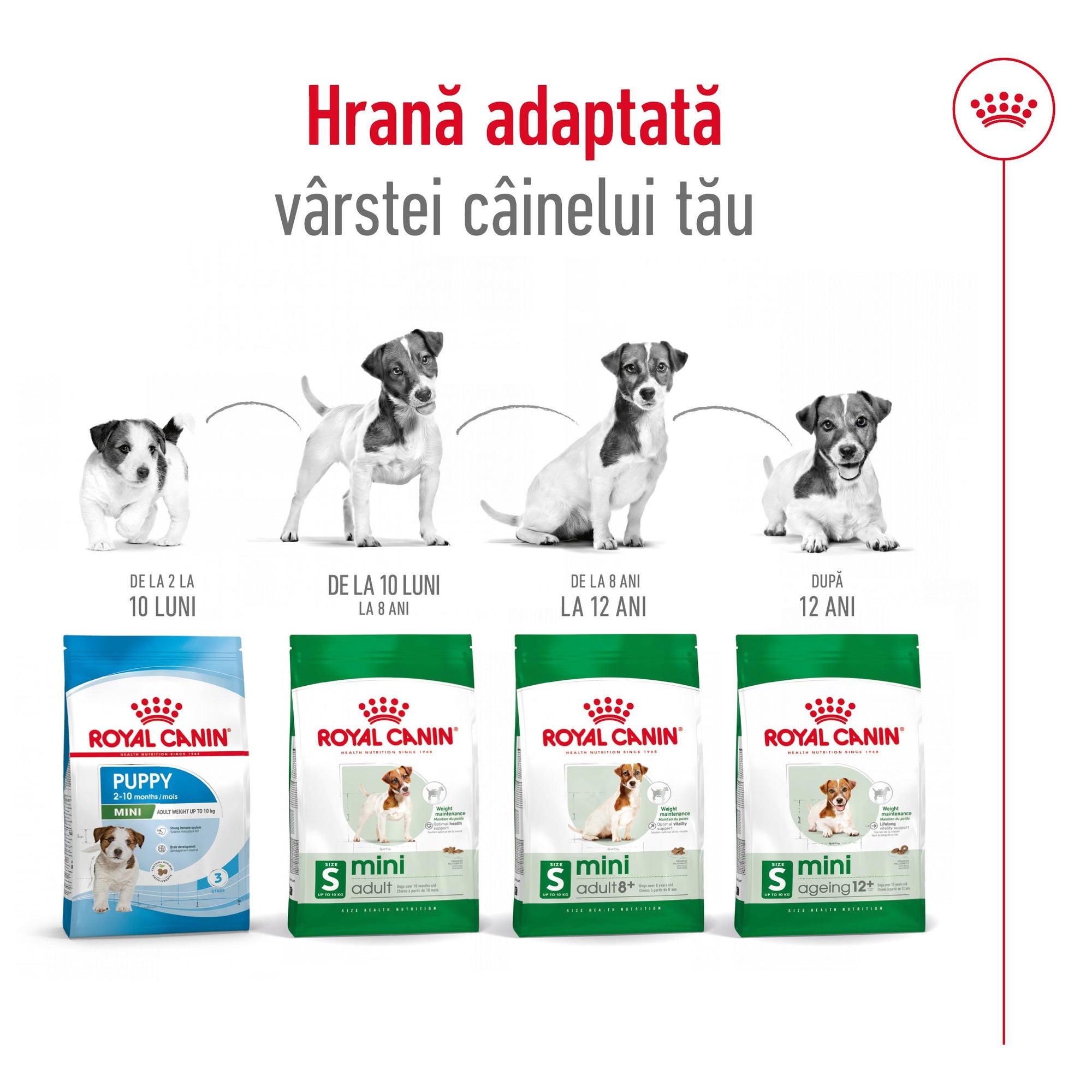 Royal Canin Mini Adult hrana uscata caine
