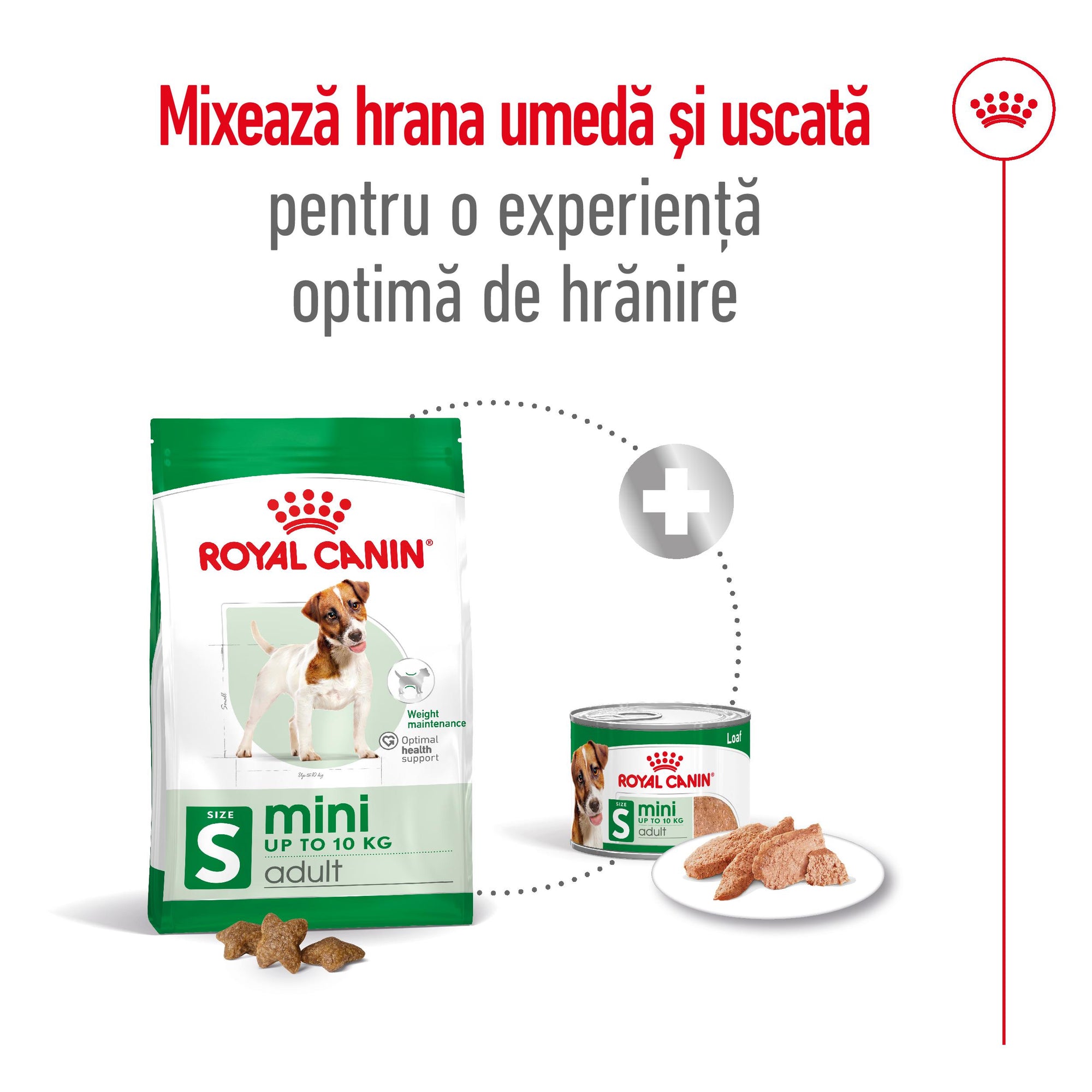 Royal Canin Mini Adult hrana uscata caine