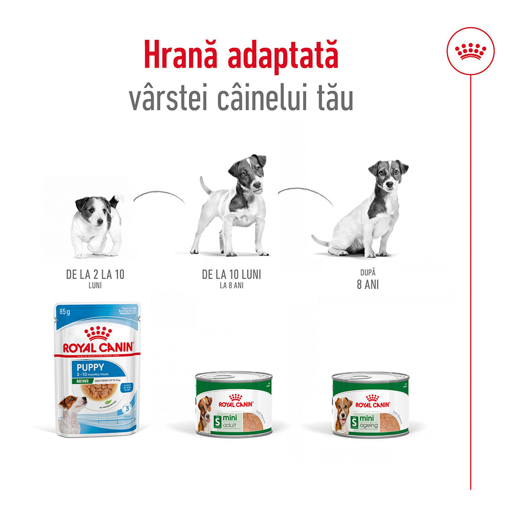 Royal Canin Mini Adult hrana umeda caine (pate), 195 g