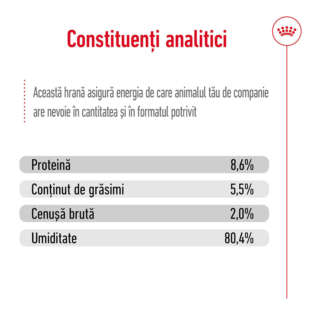 Royal Canin Mini Adult hrana umeda caine (pate), 195 g