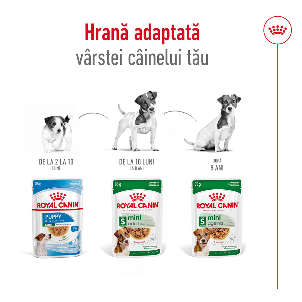 Royal Canin Mini Adult hrana umeda caine (in sos)