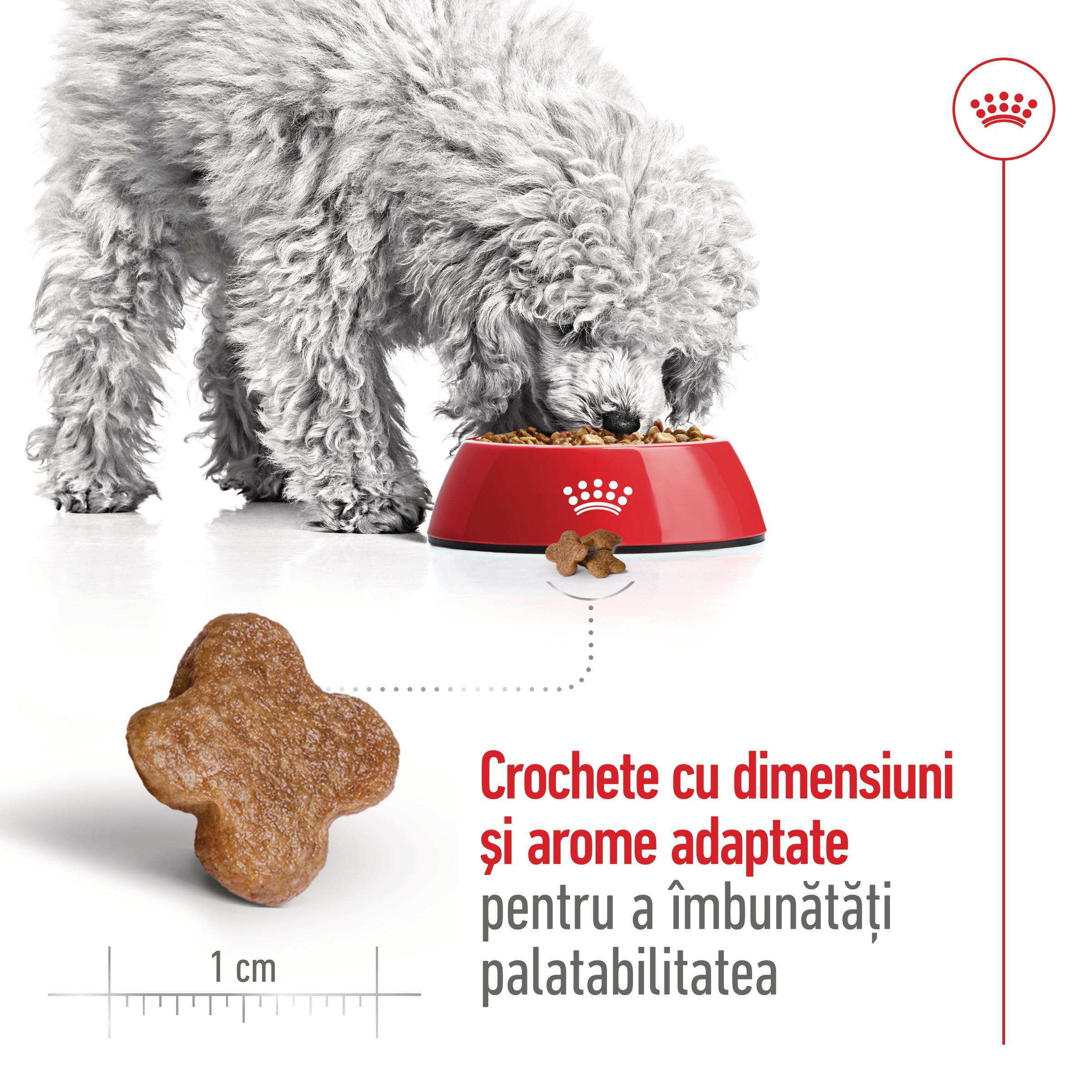 Royal Canin Mini Adult 8+ hrana uscata caine