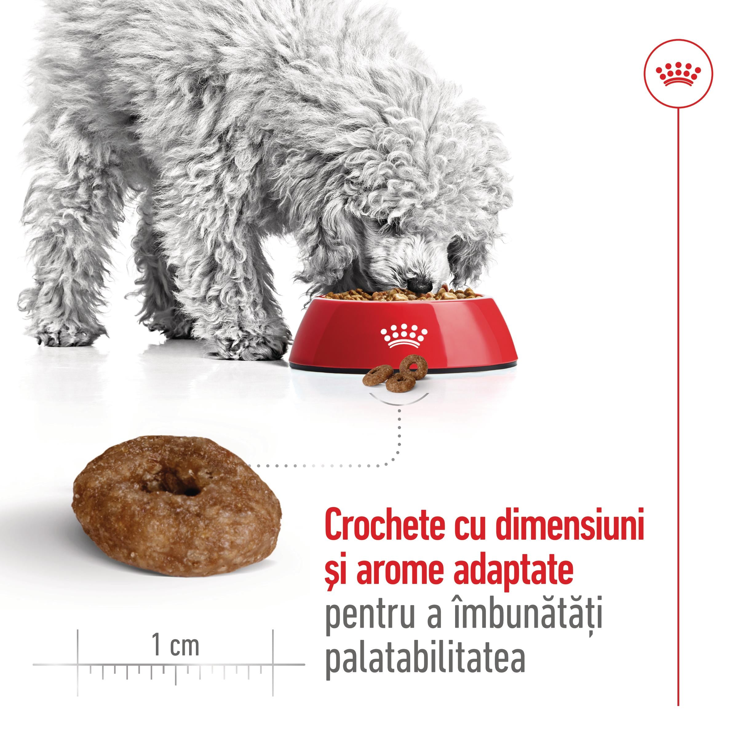 Royal Canin Mini Ageing 12+ hrana uscata caine senior, 1.5 kg