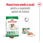 Royal Canin Mini Ageing 12+ hrana uscata caine senior, 1.5 kg