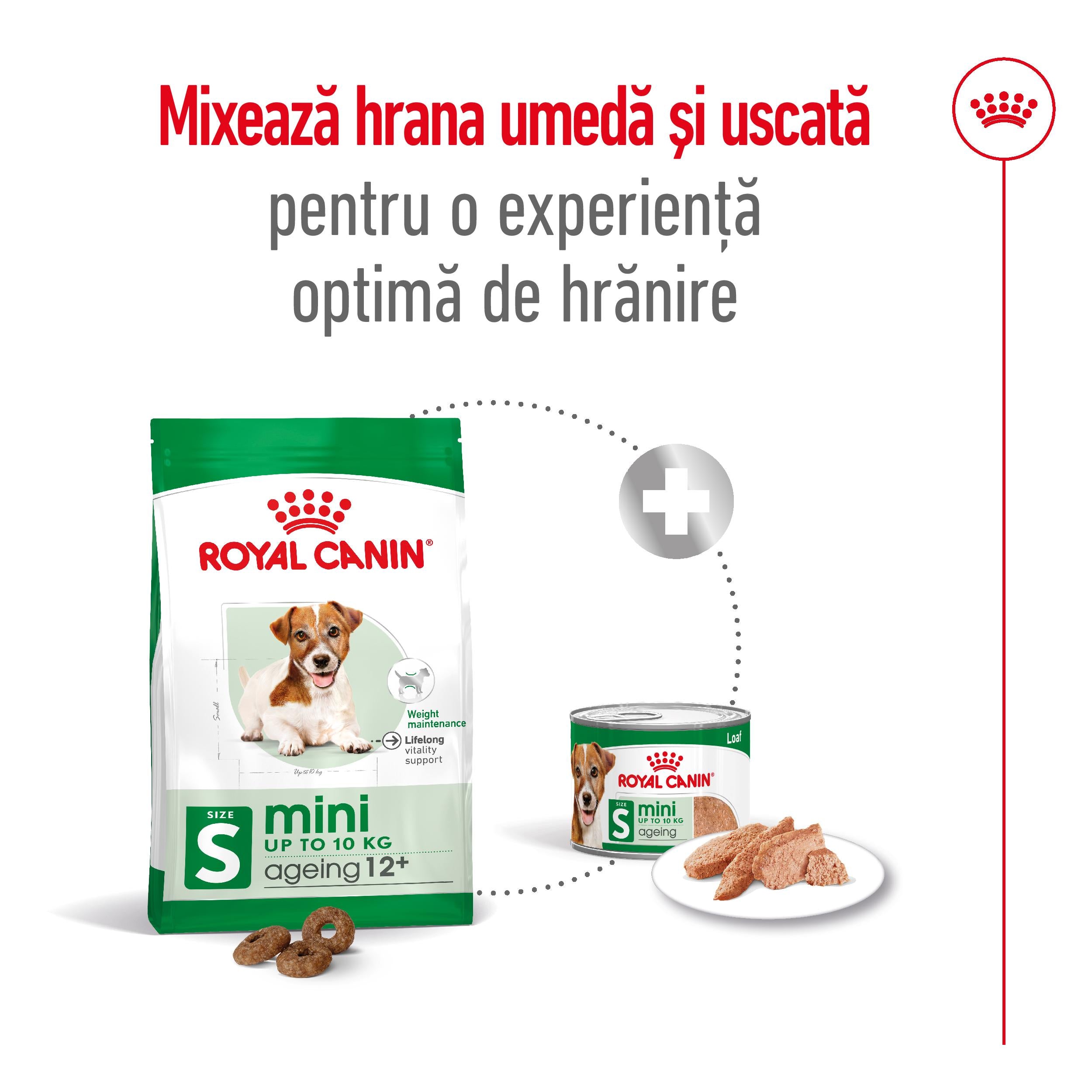 Royal Canin Mini Ageing 12+ hrana uscata caine senior, 1.5 kg