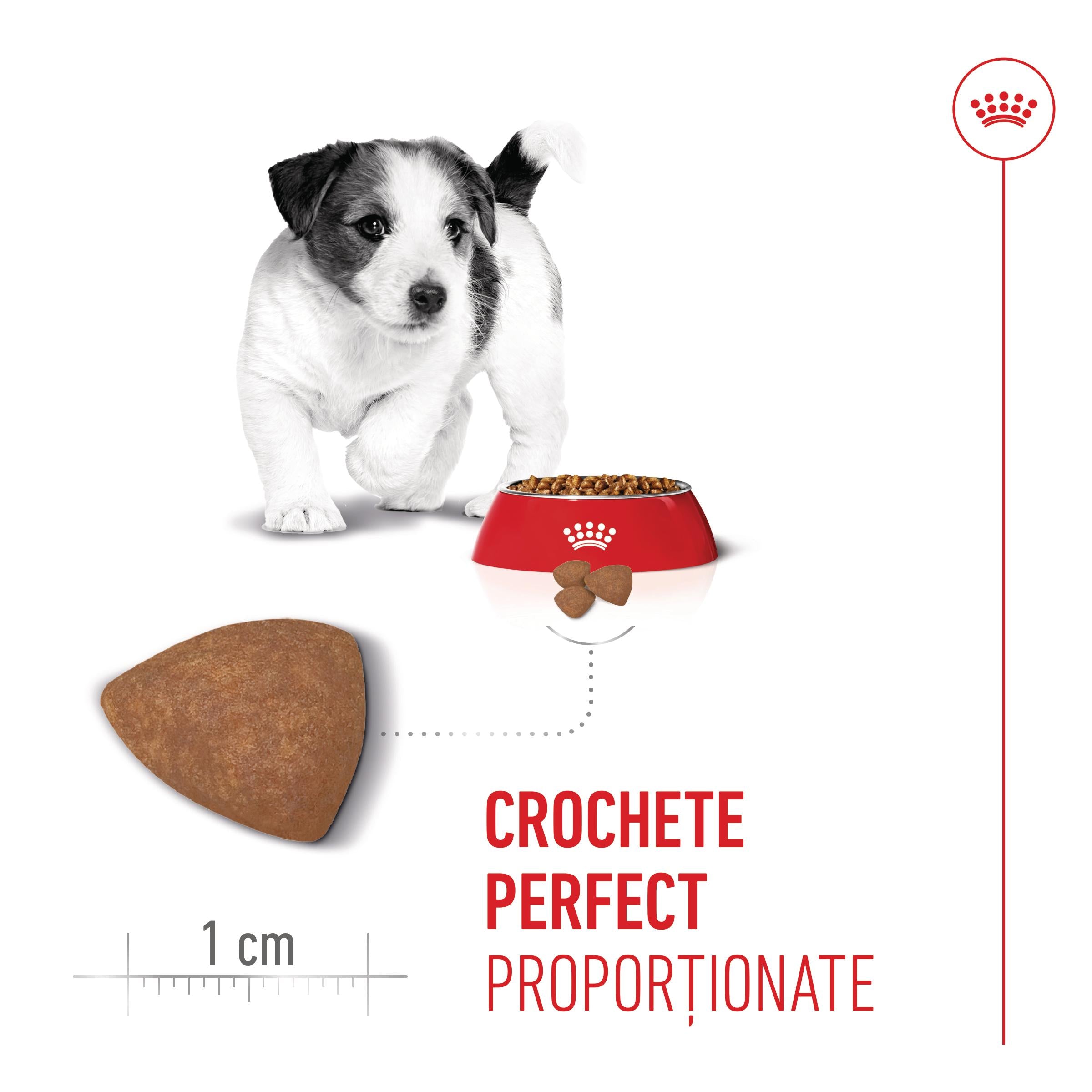 Royal Canin Mini Puppy hrana uscata caine junior