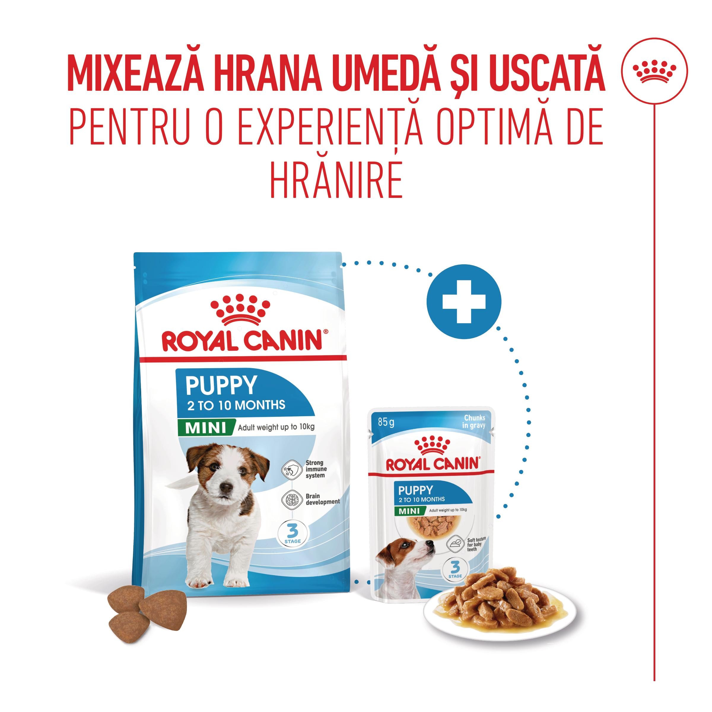 Royal Canin Mini Puppy hrana umeda caine junior (in sos)