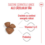 Royal Canin Mini Starter Mother & BabyDog, mama si puiul, hrana uscata caini