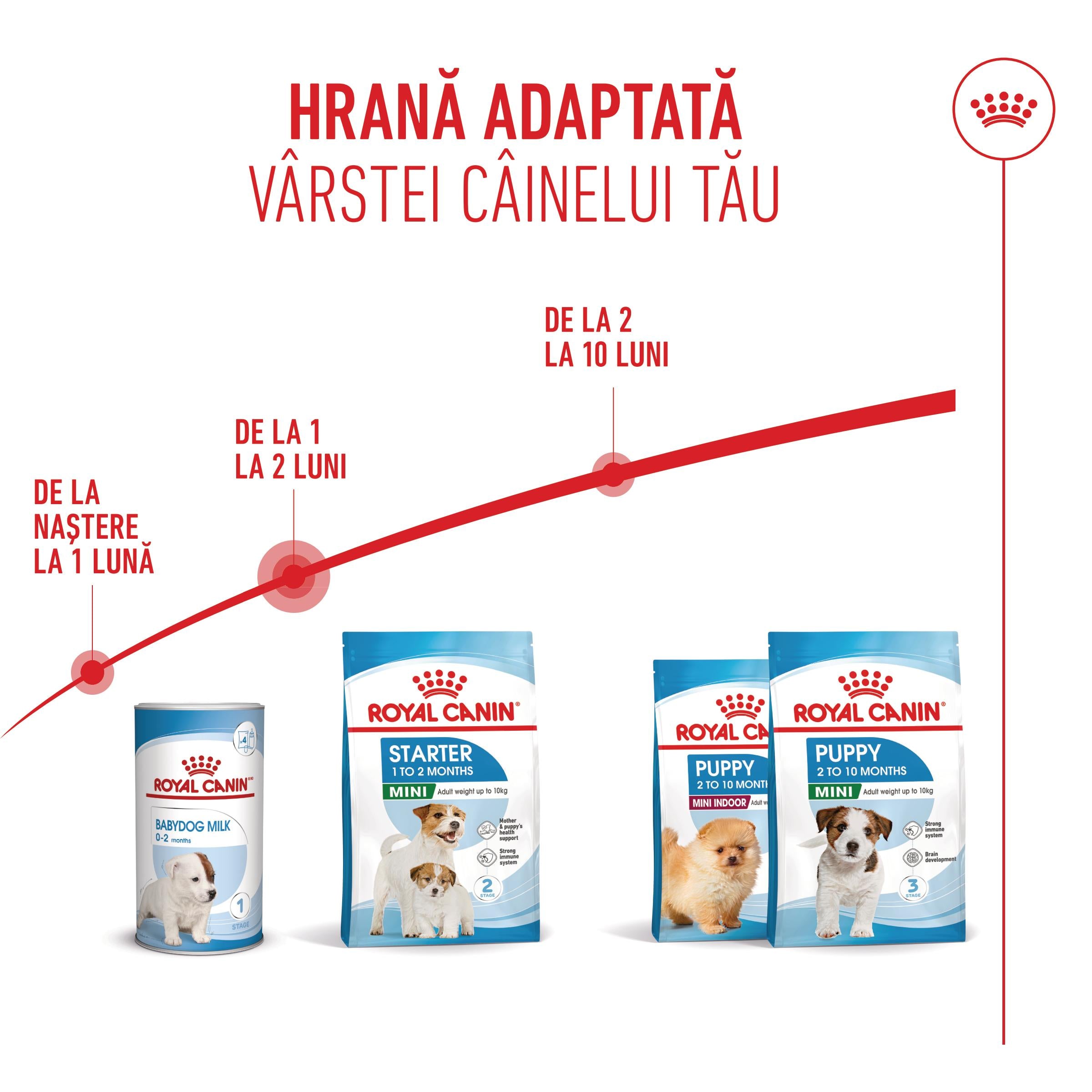 Royal Canin Mini Starter Mother & BabyDog, mama si puiul, hrana uscata caini