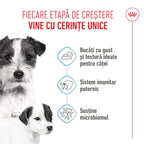 Royal Canin Starter Mousse, mama si puiul, hrana umeda caine (textura spumoasa), 195 g