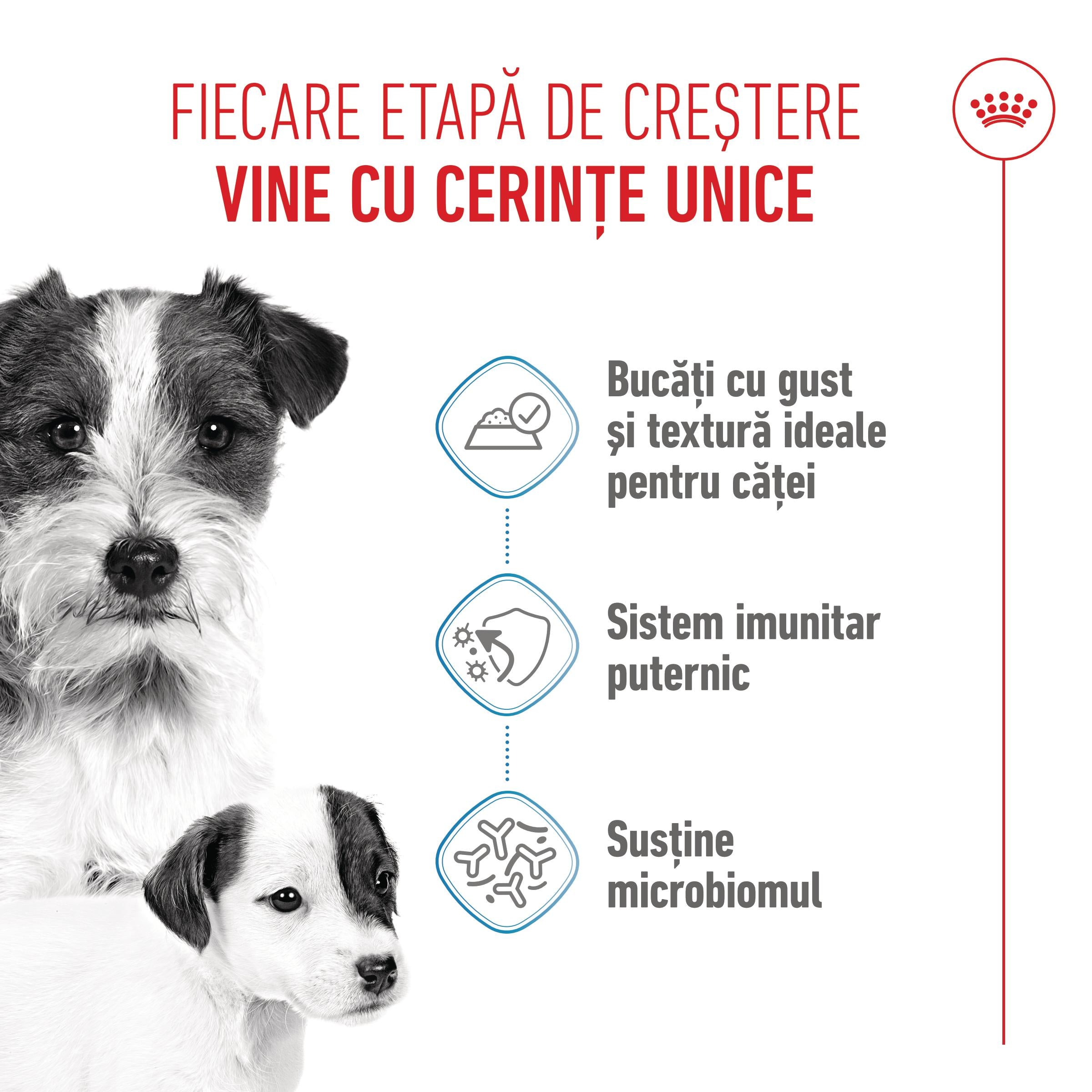 Royal Canin Starter Mousse, mama si puiul, hrana umeda caine (textura spumoasa), 195 g