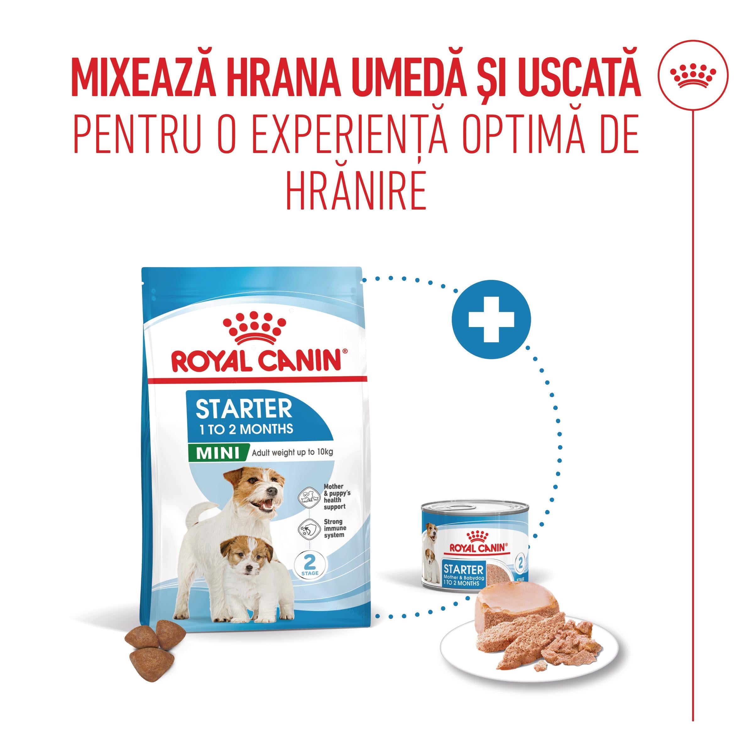 Royal Canin Starter Mousse, mama si puiul, hrana umeda caine (textura spumoasa), 195 g