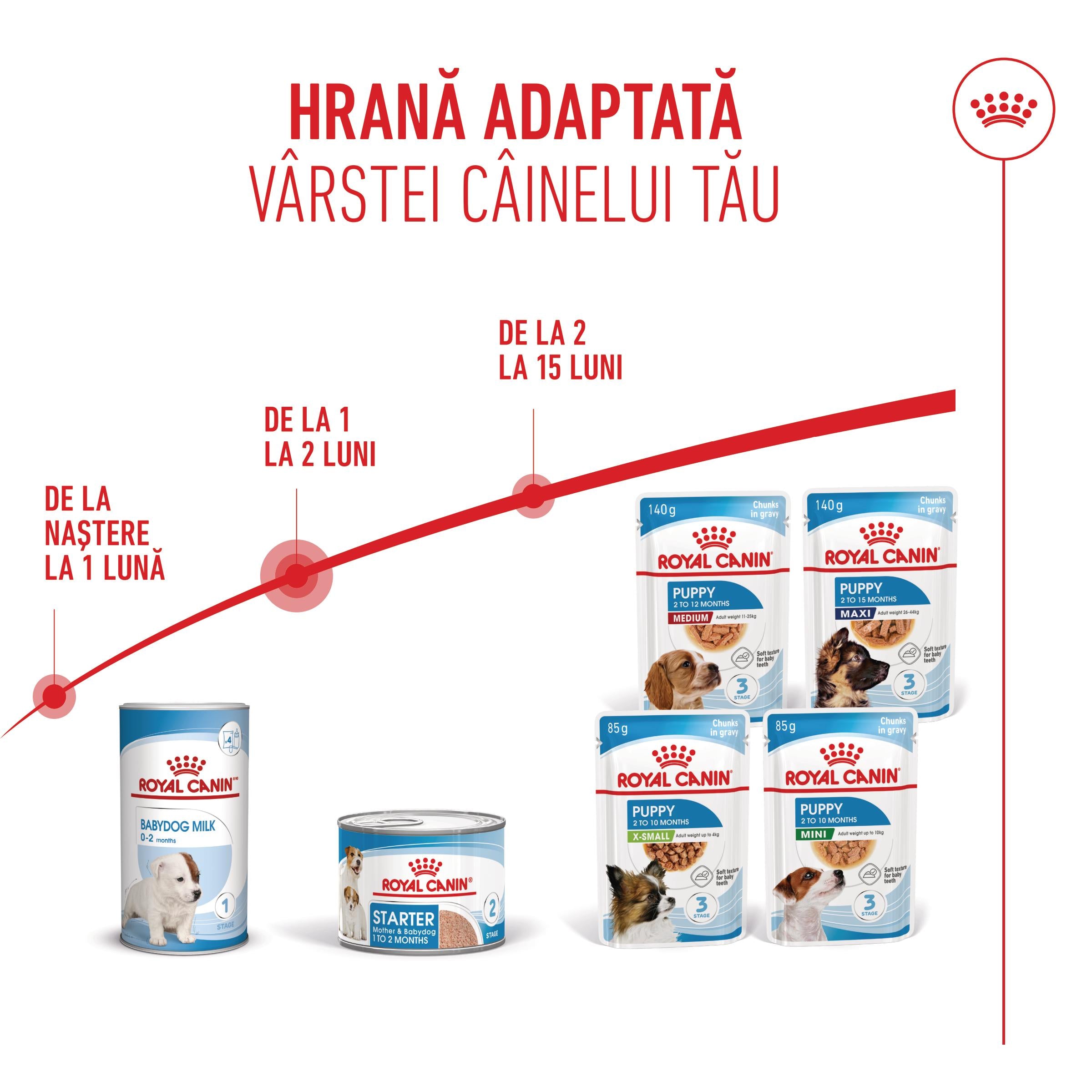Royal Canin Starter Mousse, mama si puiul, hrana umeda caine (textura spumoasa), 195 g