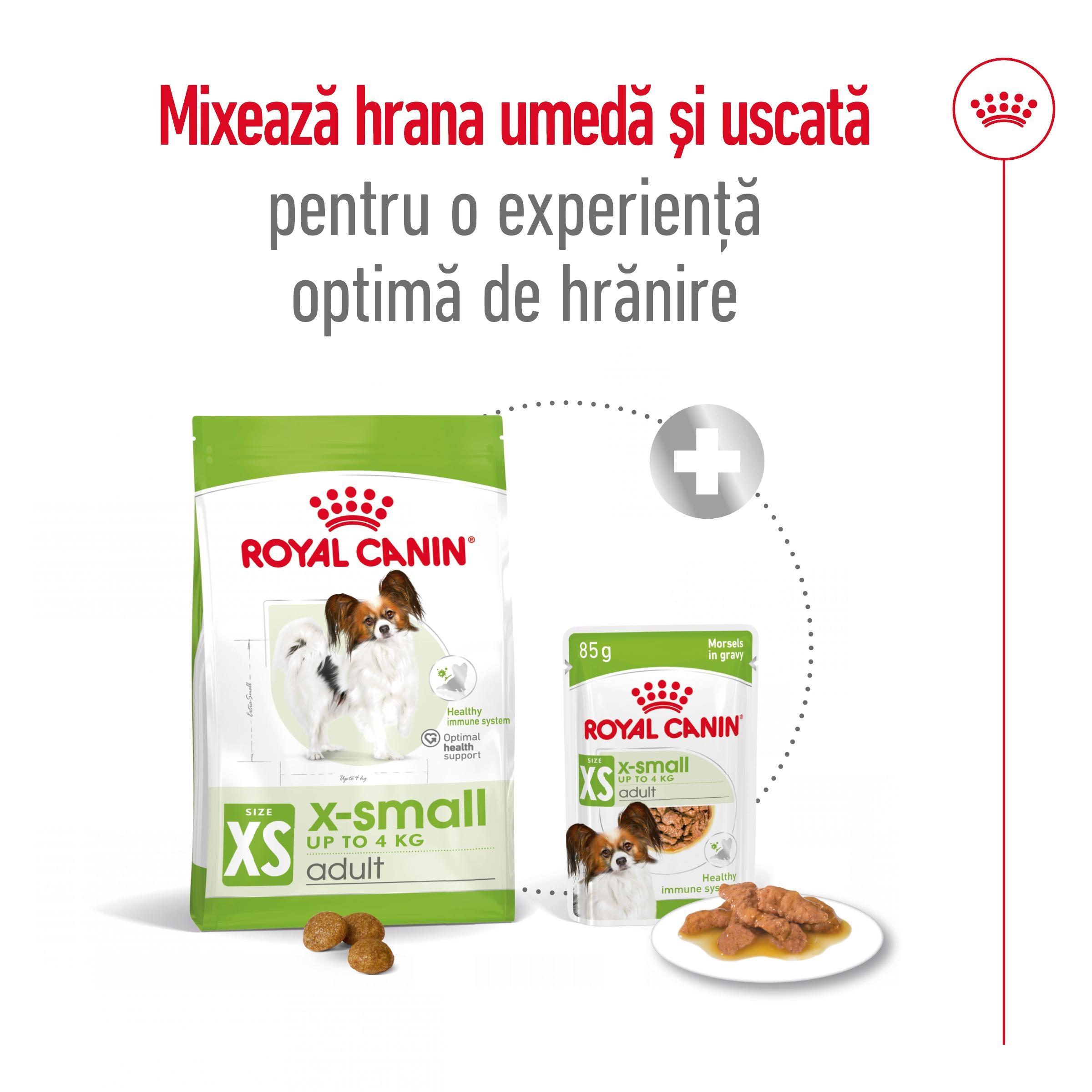 Royal Canin X-Small Adult hrana uscata caine