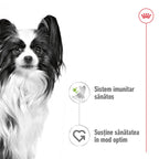 Royal Canin X-Small Adult hrana umeda caine (in sos)