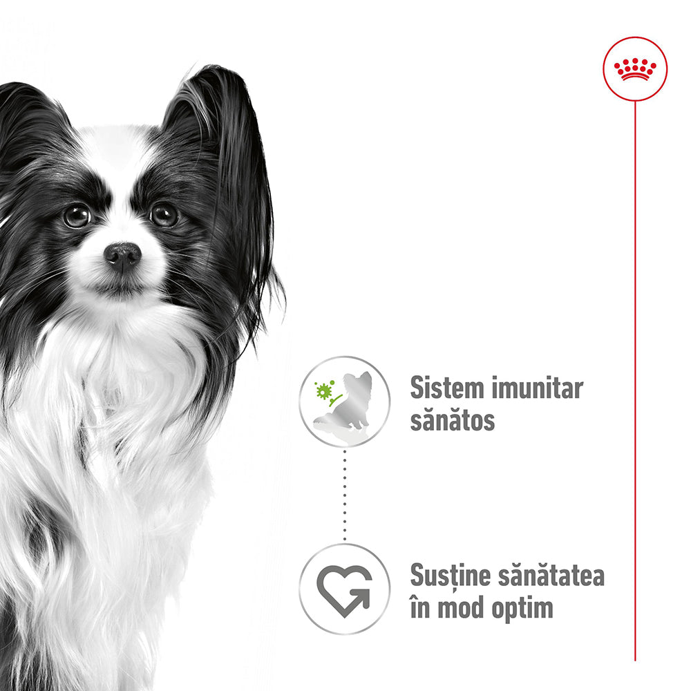 Royal Canin X-Small Adult hrana umeda caine (in sos)