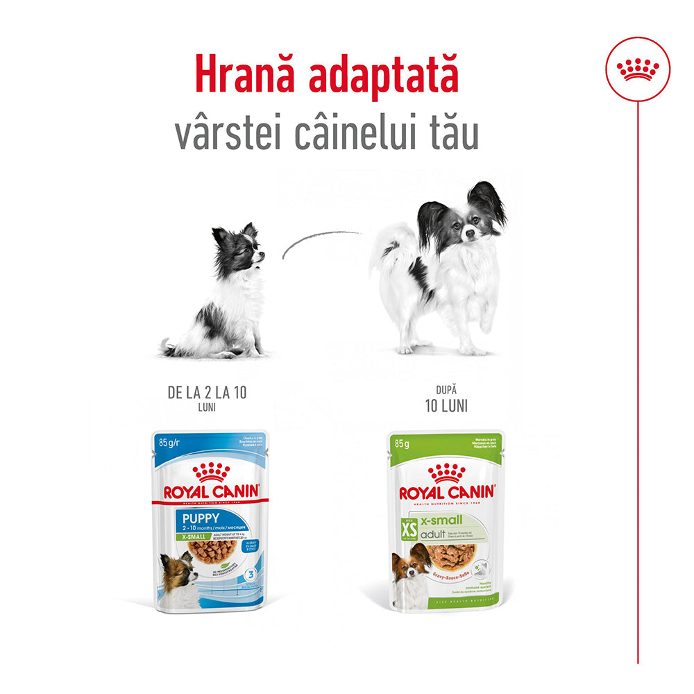 Royal Canin X-Small Adult hrana umeda caine (in sos)