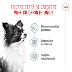 Royal Canin X-Small Puppy hrana uscata caine junior