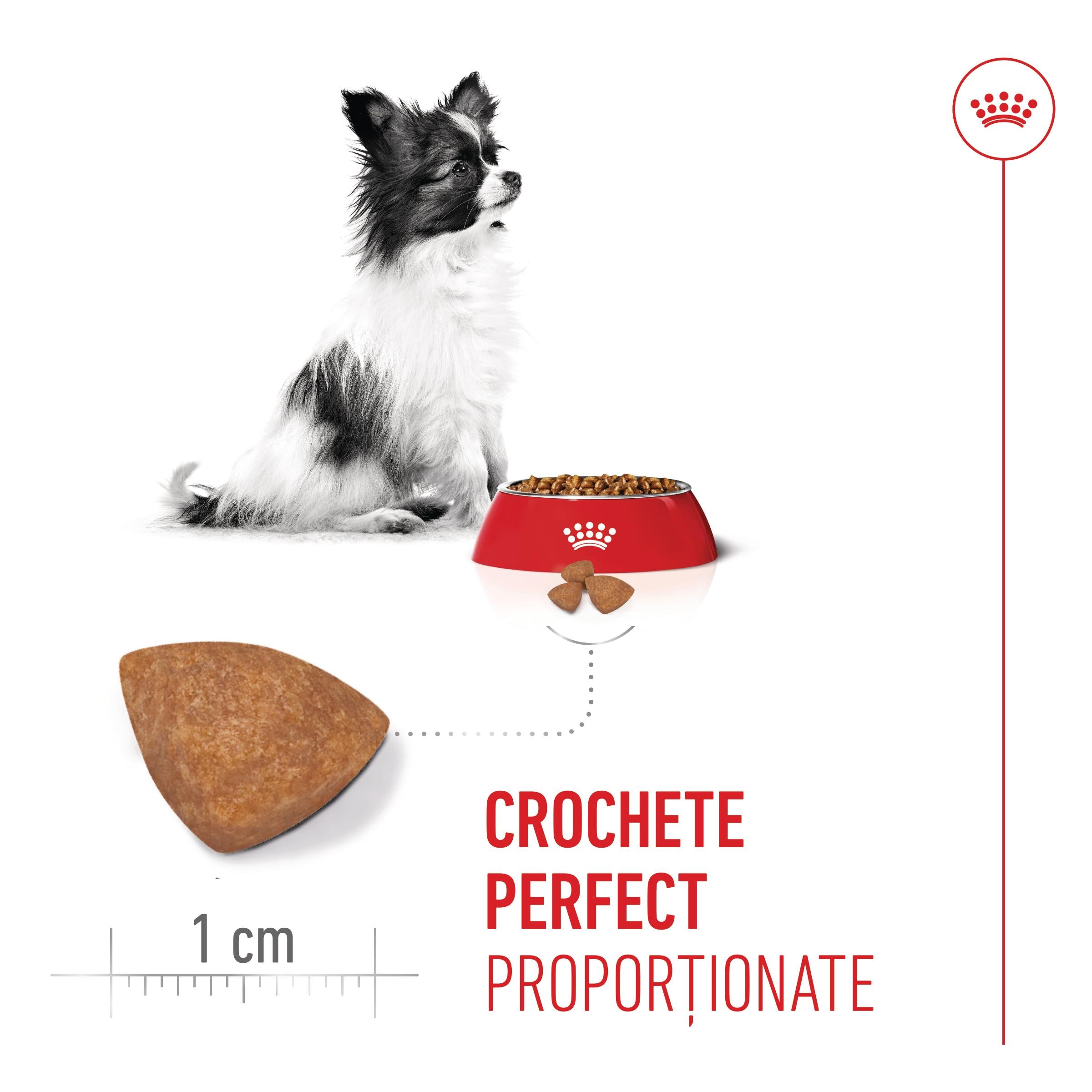 Royal Canin X-Small Puppy hrana uscata caine junior