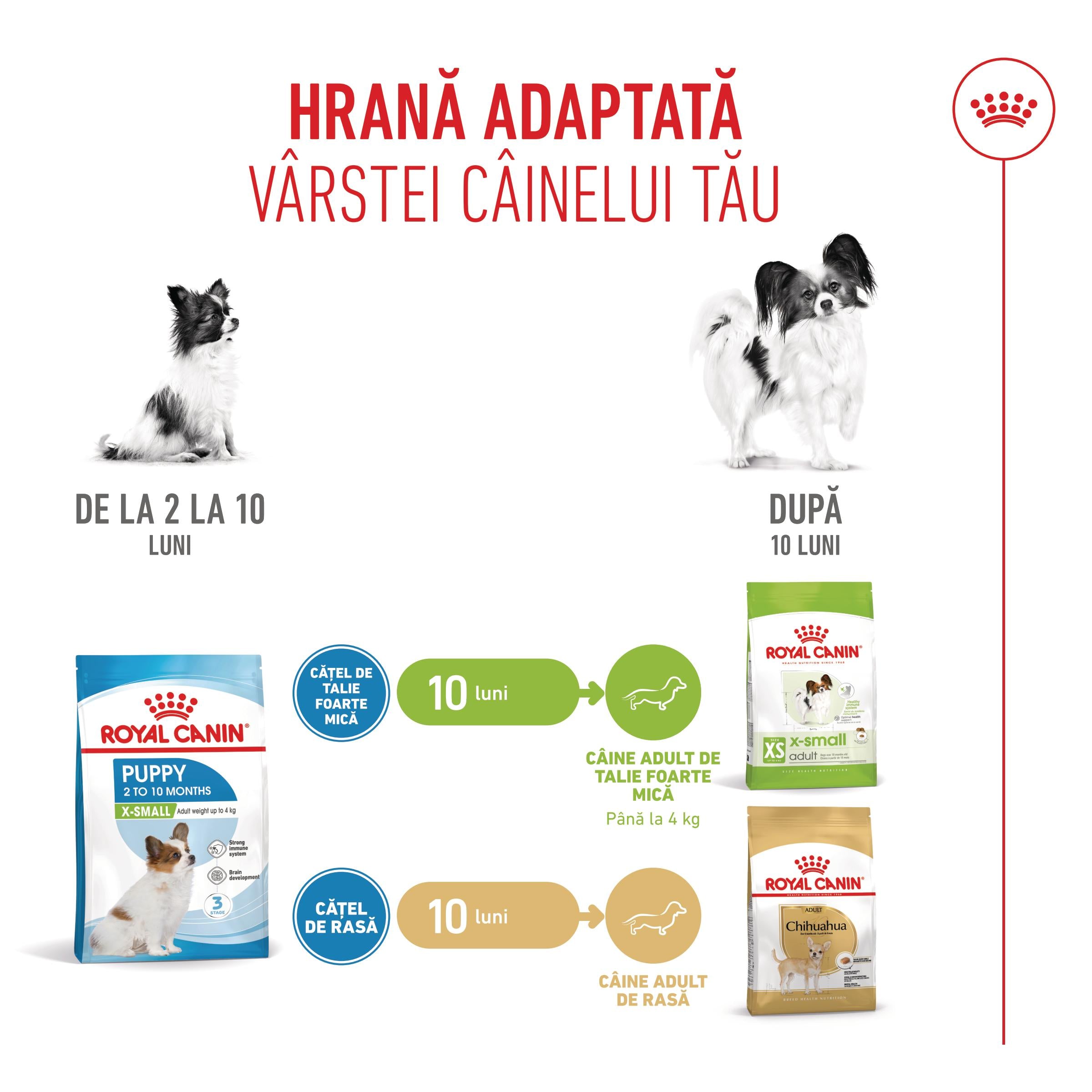 Royal Canin X-Small Puppy hrana uscata caine junior