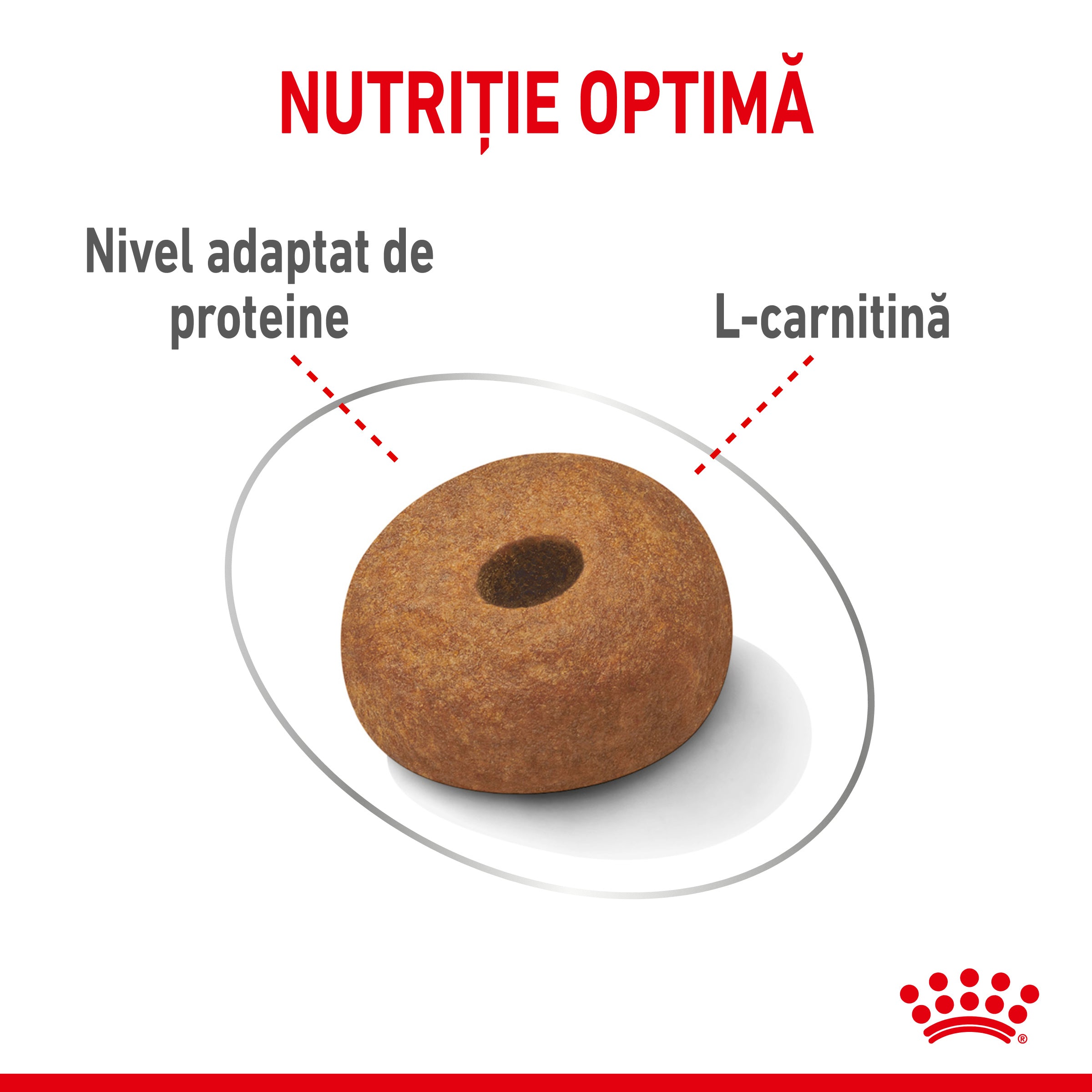 Royal Canin Maxi Light Weight Care Adult hrana uscata caine, limitarea cresterii in greutate, 12 kg